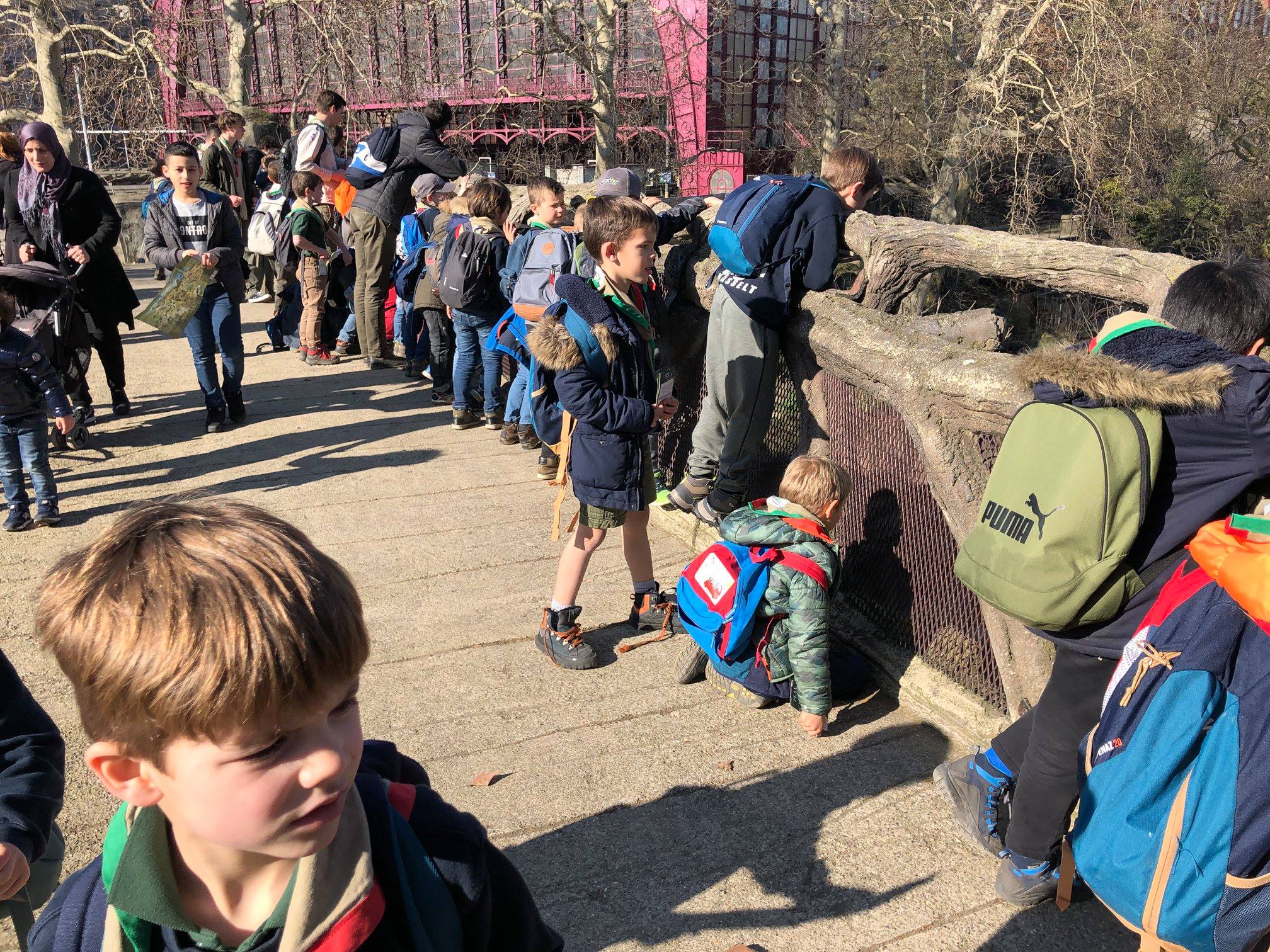 Sint-Martinus den XIIde - Zoo Antwerpen Kapoenen